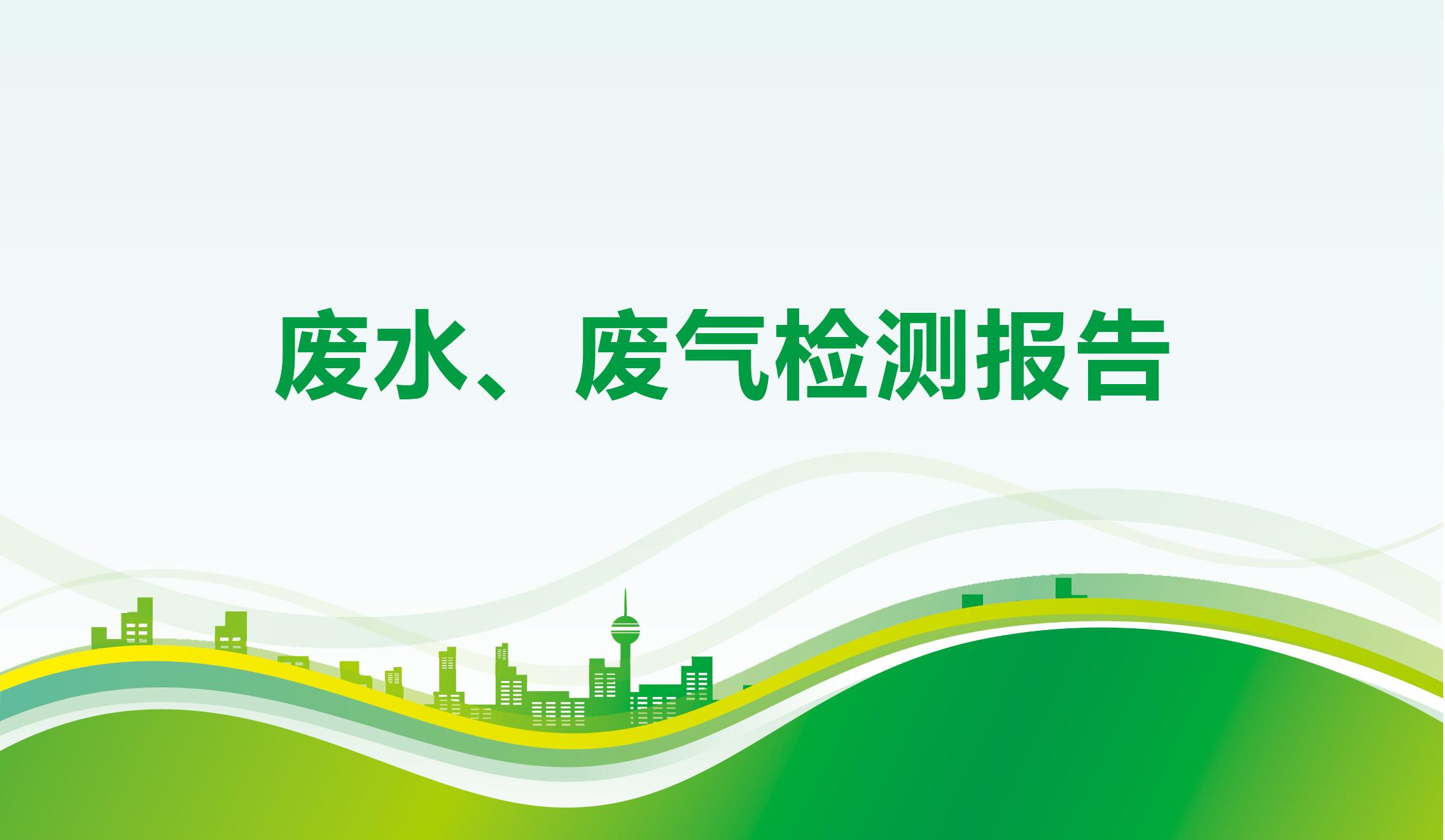 废水、废气检测报告-海一
